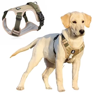 Accessory_dog_harness_01