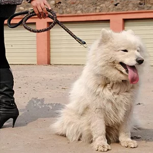 Accessory_dog_harness_03