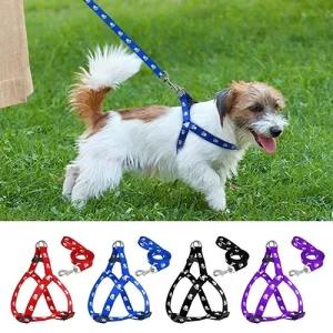 Accessory_dog_harness_05