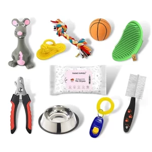 Accessory_misc_01