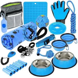 Accessory_misc_02