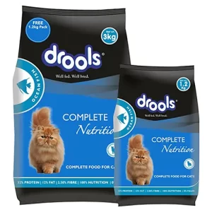 Cat Food Drools 01
