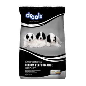 DOG FOODS Drools 01
