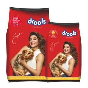 DOG FOODS Drools 05
