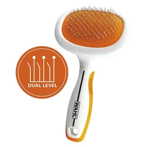 Hygiene_comb_01