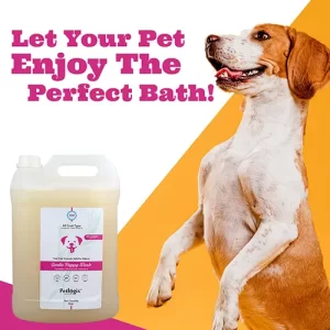 Hygiene_shampoo_21