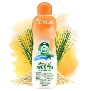 Hygiene_shampoo_42