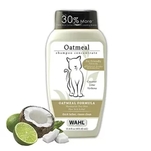 Hygiene_shampoo_44