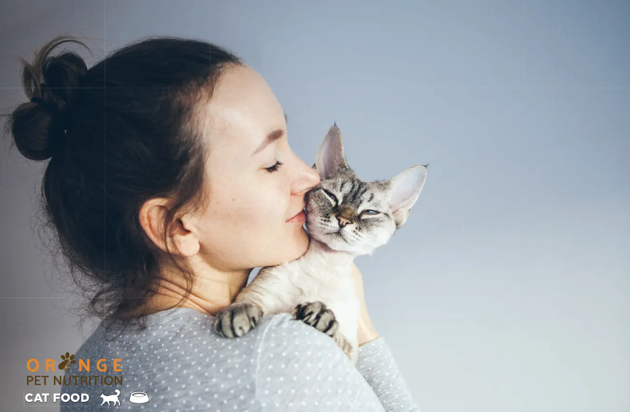Orange Pet Cat banner 01